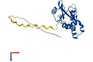 SOCS1 Protein (AA 1-212) (His tag)