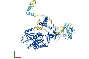 Protein Structure (PS) image for Membrane Protein, Palmitoylated 6 (MAGUK P55 Subfamily Member 6) (MPP6) (AA 1-540) protein (His tag) (ABIN7549509)