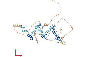 AlphaFold protein structure predicition of Human Recombinant ZNF619 Protein, UniprotID Q8N2I2