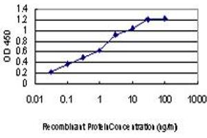 Detection limit for recombinant GST tagged DYRK2 is approximately 0. (DYRK2 Antikörper  (AA 1-100))