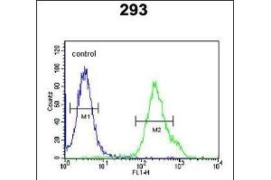 KCTD21 Antibody (C-term) (ABIN651600 and ABIN2840317) flow cytometric analysis of 293 cells (right histogram) compared to a negative control cell (left histogram). (KCTD21 Antikörper  (C-Term))