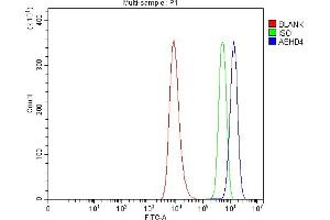 Flow Cytometry analysis of HEL cells using anti-ABHD4 antibody (ABIN7601011). (ABHD4 Antikörper  (AA 27-342))