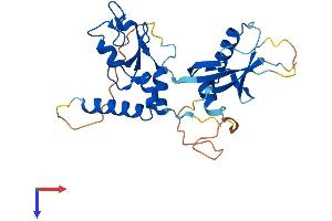 PCGF5 Protein (AA 1-256) (His tag)