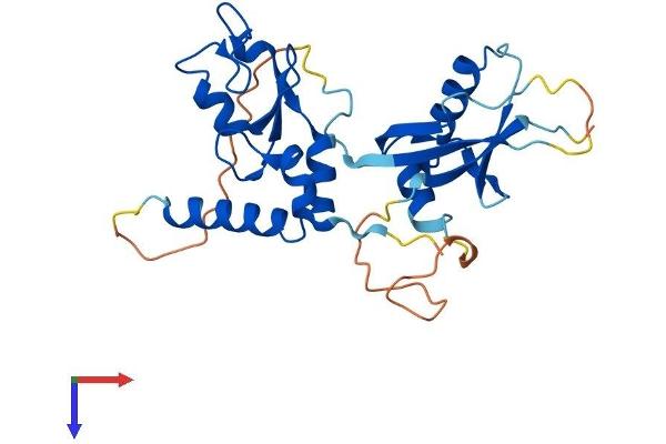 PCGF5 Protein (AA 1-256) (His tag)