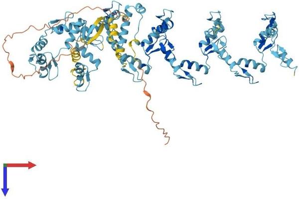 ZNF585A Protein (AA 1-769) (His tag)