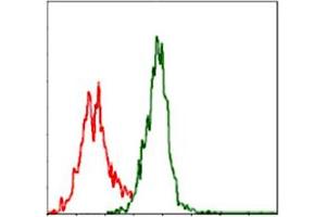 Flow cytometric analysis of Jurkat cells using ASS1 monoclonal antibody, clone 2B10  (green) and negative control (red). (ASS1 Antikörper)