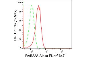 Flow cytometric analysis of RAB22A expression in H9c2 cells using RAB22A antibody (ABIN7800090), 1:2,000). (Rekombinanter RAB22A Antikörper)