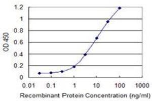 Detection limit for recombinant GST tagged OTOP2 is 0. (Otopetrin 2 Antikörper  (AA 423-493))