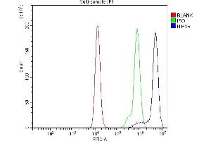 Flow Cytometry analysis of Raji cells using anti-HIP1R antibody (ABIN7601290).