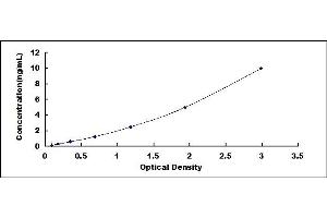 Typical standard curve (EIF6 ELISA Kit)