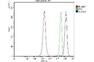 Flow Cytometry analysis of JK cells using anti-SLC5A7 antibody (ABIN7601754). (ChT Antikörper  (AA 446-580))