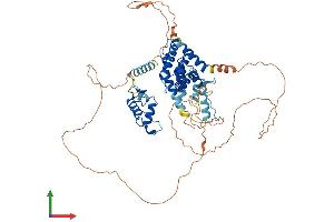 Protein Structure (PS) image for Nuclear Receptor Subfamily 1, Group D, Member 2 (NR1D2) (AA 1-579) protein (His tag) (ABIN7554741)