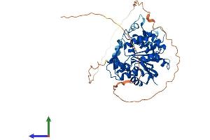 Protein Structure (PS) image for RNA Guanine-7 Methyltransferase (RNMT) (AA 1-465) protein (His tag) (ABIN7560840)