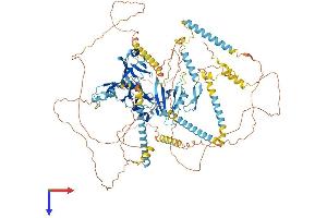 PDZ Domain Containing Ring Finger 4 (PDZRN4) (AA 1-1036) protein (His tag)