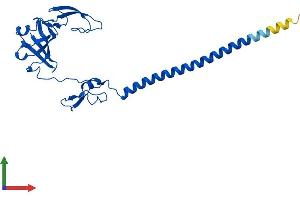 Protein Structure (PS) image for Ribosomal Protein S6 (RPS6) (AA 1-249) protein (His tag) (ABIN7551576)