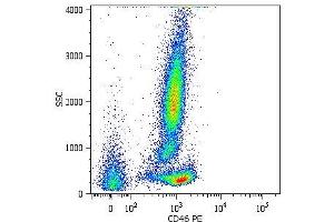 Surface staining of human peripheral blood cells with anti-CD46 (MEM-258) PE. (CD46 Antikörper  (Biotin))