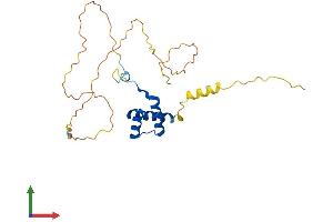 Protein Structure (PS) image for Homeobox B8 (HOXB8) (AA 1-243) protein (His tag) (ABIN7562780)