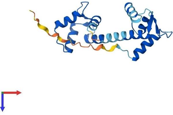 Centrin 1 Protein (AA 1-172) (His tag)