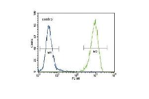 FLT3 (C) Antibody (N-term) (ABIN391981 and ABIN2841772) flow cytometric analysis of 293 cells (right histogram) compared to a negative control cell (left histogram). (FLT3 Antikörper  (N-Term))