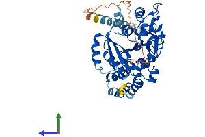 Protein Structure (PS) image for Glucoside Xylosyltransferase 1 (GXYLT1) (AA 1-404) protein (His tag) (ABIN7557194)