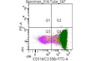 Image no. 1 for anti-CD11b/C3 antibody (ABIN920591) (CD11b/C3 Antikörper)