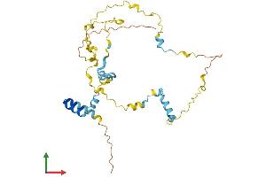 AlphaFold protein structure predicition of Mouse Recombinant Tex26 Protein, UniprotID Q0VB26