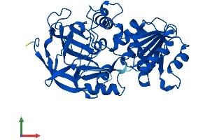 Protein Structure (PS) image for Alcohol Dehydrogenase 7 (Class IV), mu Or sigma Polypeptide (ADH7) (AA 1-374) protein (His tag) (ABIN7557838)