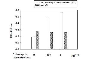 Hela cells were stimulated by different concentrations of anisomycin for 1 hour at 37 °C (MAPK14 ELISA Kit)