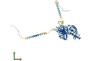 Protein Structure (PS) image for Ectonucleoside Triphosphate diphosphohydrolase 7 (ENTPD7) (AA 1-604) protein (His tag) (ABIN7547363)