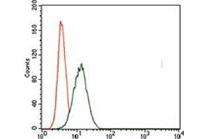 Flow cytometric analysis of HeLa cells using T mouse mAb (green) and negative control (red). (T Antigen (AA 257-309) Antikörper)