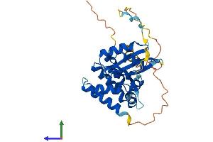 AlphaFold protein structure predicition of Mouse Recombinant Armc1 Protein, UniprotID Q9D7A8