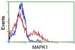 Flow Cytometry (FACS) image for anti-Mitogen-Activated Protein Kinase 1 (MAPK1) antibody (ABIN1499287) (ERK2 Antikörper)