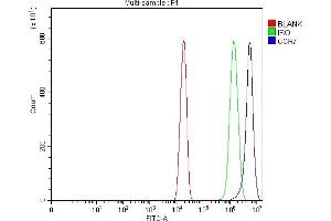 Flow Cytometry analysis of U20S cells using anti-CCR7 antibody (ABIN7601362).