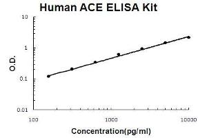 Human ACE PicoKine ELISA Kit standard curve (Angiotensin I Converting Enzyme 1 ELISA Kit)