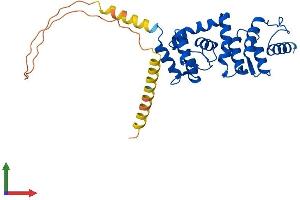 AlphaFold protein structure predicition of Mouse Recombinant Dcun1d4 Protein, UniprotID Q8CCA0