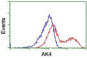 HEK293T cells transfected with either RC220572 overexpress plasmid (Red) or empty vector control plasmid (Blue) were immunostained by anti-AK4 antibody (ABIN2454911), and then analyzed by flow cytometry. (AK4 Antikörper)