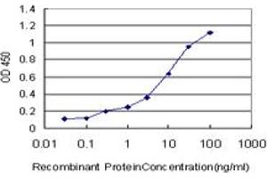 Detection limit for recombinant GST tagged MAGI1 is approximately 0. (MAGI1 Antikörper  (AA 761-859))