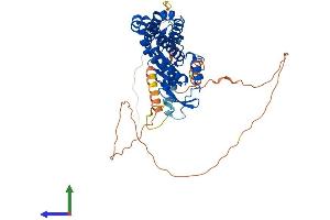 AlphaFold protein structure predicition of Human Recombinant ZDHHC14 Protein, UniprotID Q8IZN3