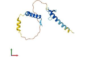Protein Structure (PS) image for LLP Homolog, Long-Term Synaptic Facilitation (Aplysia) (LLPH) (AA 1-130) protein (His tag) (ABIN7561153)