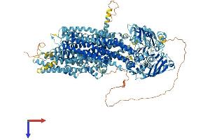 ABCC6 Protein (AA 1-1503) (His tag)
