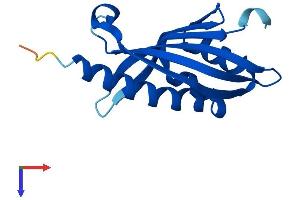 NXT2 Protein (AA 1-142) (His tag)