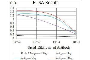 Black line: Control Antigen (100 ng), Purple line: Antigen(10 ng), Blue line: Antigen (50 ng), Red line: Antigen (100 ng), (PPY Antikörper  (AA 1-95))