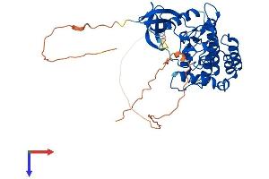 CSNK1G1 Protein (AA 1-422) (His tag)