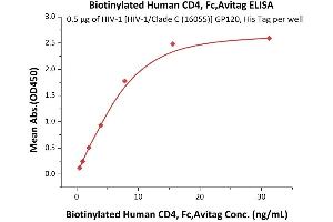 Immobilized HIV-1 [HIV-1/Clade C (16055)] GP120, His Tag (4) at 5 μg/mL (100 μL/well) can bind Biotinylated Human CD4, Fc,Avitag (ABIN5674591,ABIN6253696) with a linear range of 0.