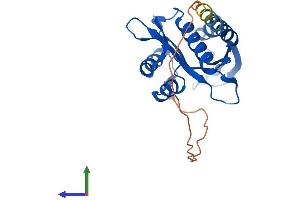 AlphaFold protein structure predicition of Mouse Recombinant Naa11 Protein, UniprotID Q3UX61