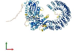 Protein Structure (PS) image for NLR Family, Pyrin Domain Containing 14 (NLRP14) (AA 1-993) protein (His tag) (ABIN7564038)