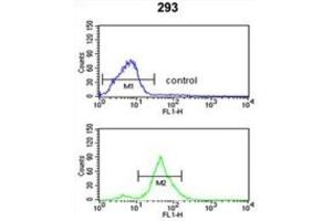 Flow Cytometry (FACS) image for anti-Tetraspanin 12 (TSPAN12) antibody (ABIN3003872)