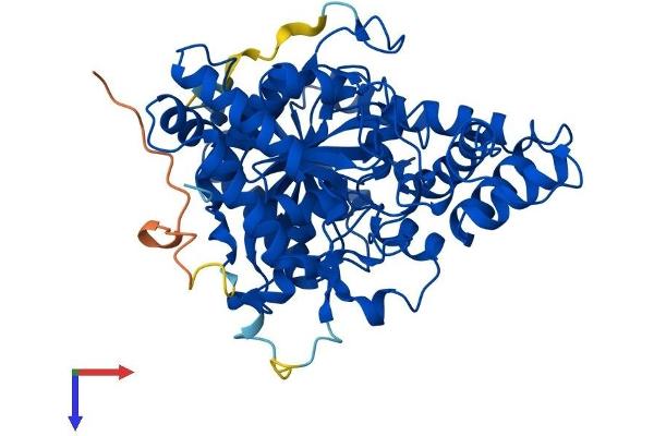 QRSL1 Protein (AA 1-525) (His tag)