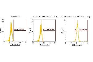 Flow Cytometry (FACS) image for anti-Granzyme B (GZMB) (AA 21-247) antibody (APC) (ABIN5564760) (GZMB Antikörper  (AA 21-247) (APC))