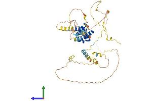 AlphaFold protein structure predicition of Human Recombinant C19orf47 Protein, UniprotID Q8N9M1